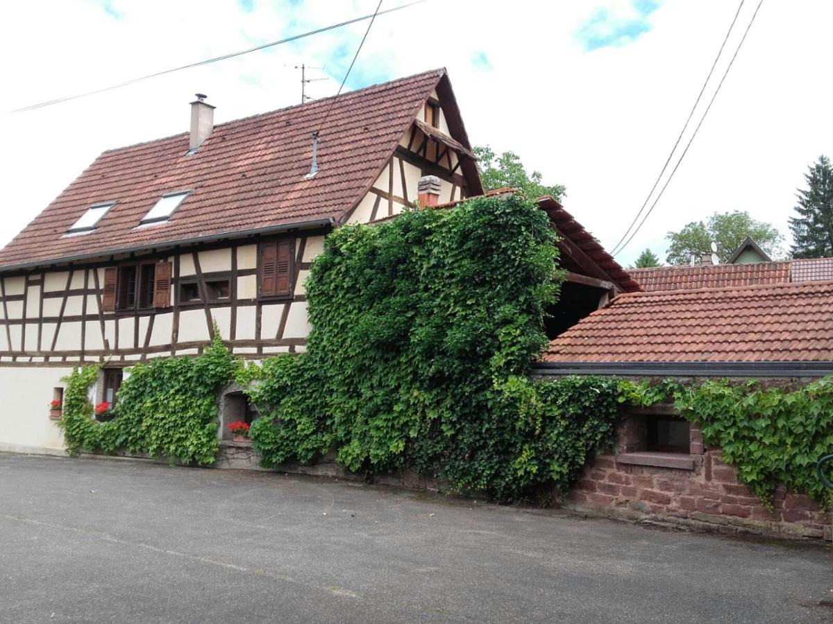 GITE AU PETIT RUISSEAU-Etage et combles-maison alsacienne 4 personnes 3 nuitées minimum Langensoultzbach Esterno foto