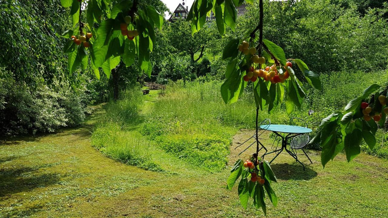 GITE AU PETIT RUISSEAU-Etage et combles-maison alsacienne 4 personnes 3 nuitées minimum Langensoultzbach Esterno foto