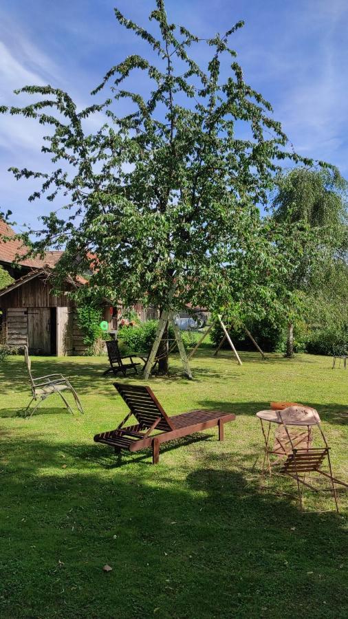 GITE AU PETIT RUISSEAU-Etage et combles-maison alsacienne 4 personnes 3 nuitées minimum Langensoultzbach Esterno foto