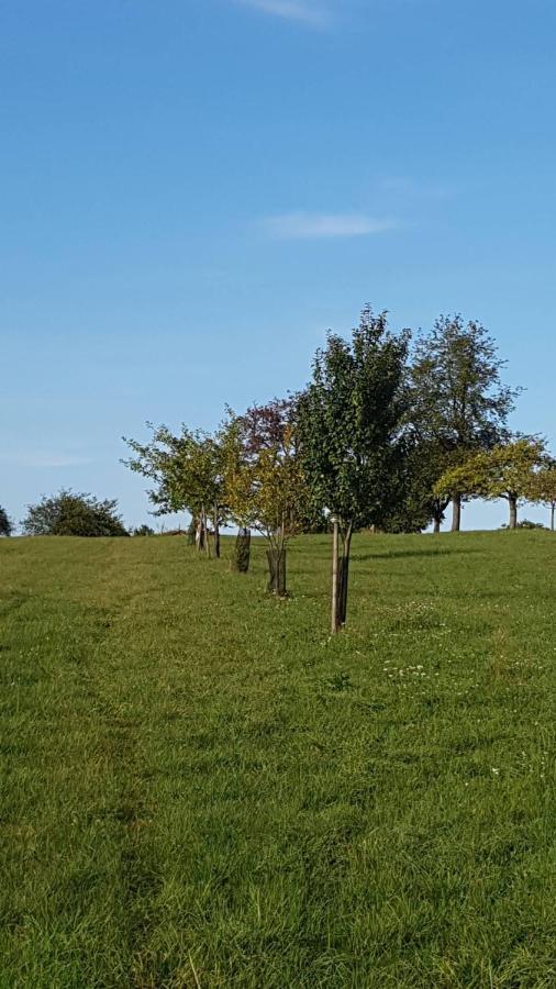 GITE AU PETIT RUISSEAU-Etage et combles-maison alsacienne 4 personnes 3 nuitées minimum Langensoultzbach Esterno foto